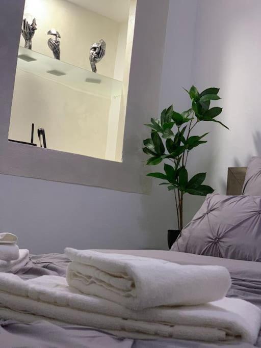 בראשוב Studio Central Mm Apartments מראה חיצוני תמונה