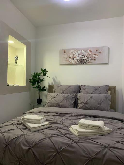 בראשוב Studio Central Mm Apartments מראה חיצוני תמונה
